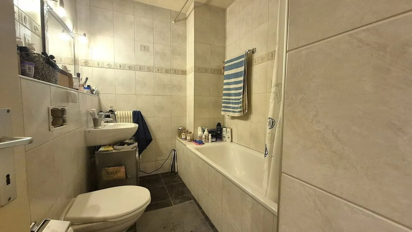 Stunning 6-room apartment with parking space and various outbuildings - Photo 6 of 18