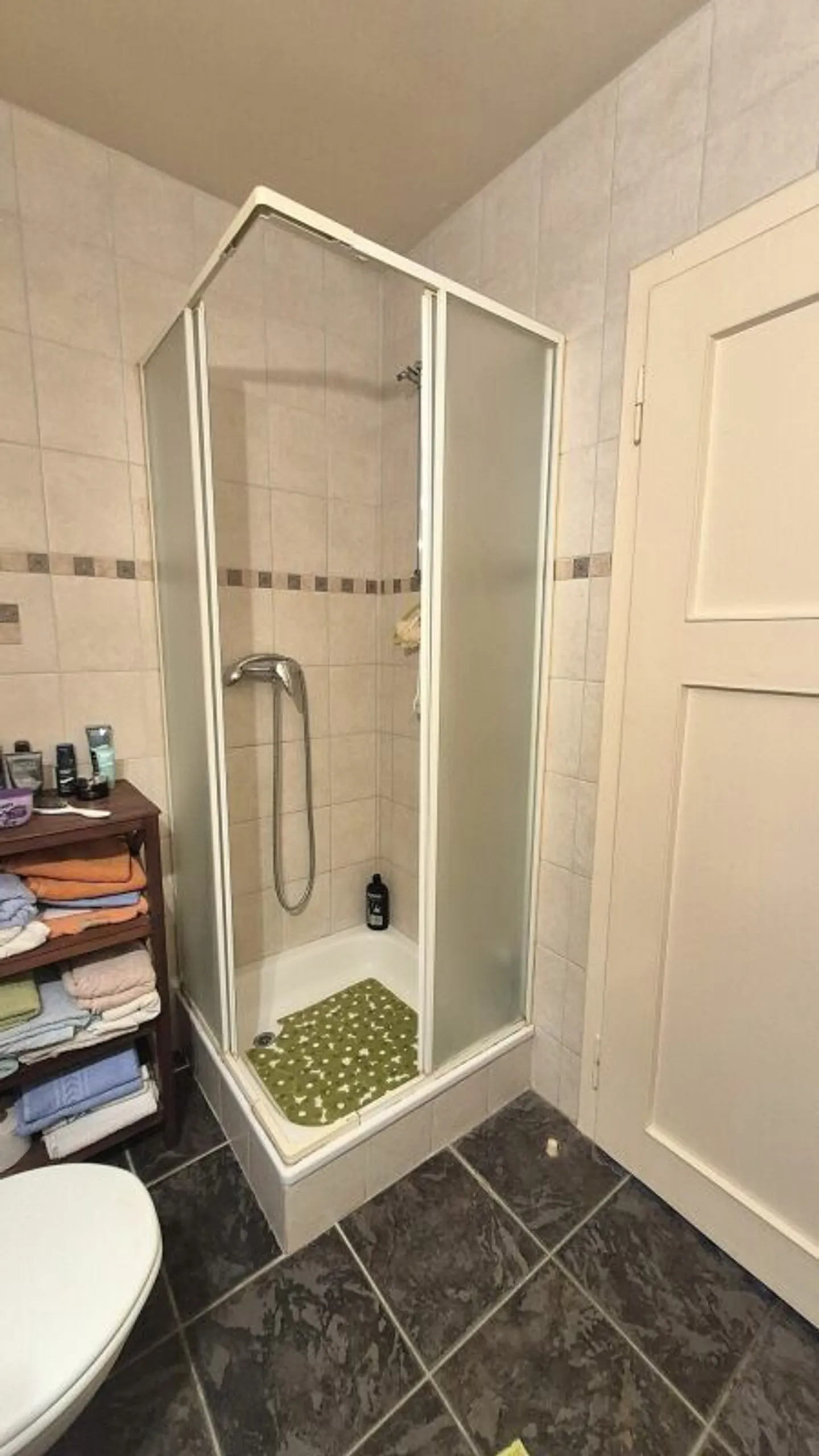 Stunning 6-room apartment with parking space and various outbuildings - Photo 7 of 18