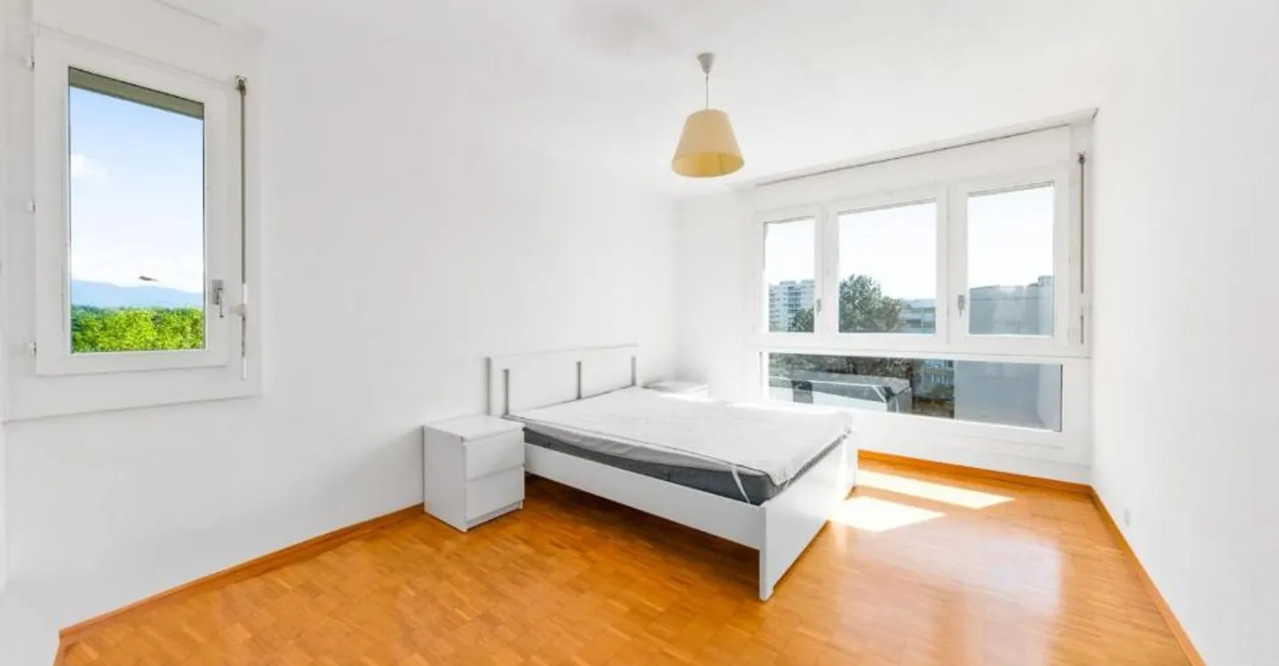 Spacious 6-room apartment with panoramic views of the Jura - Photo 6 of 12