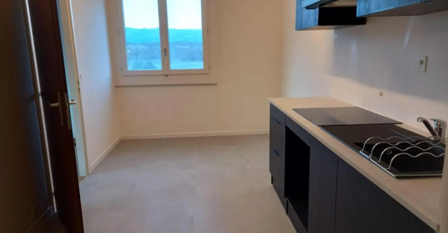 Spacious 6-room apartment with panoramic views of the Jura - Photo 10 of 12