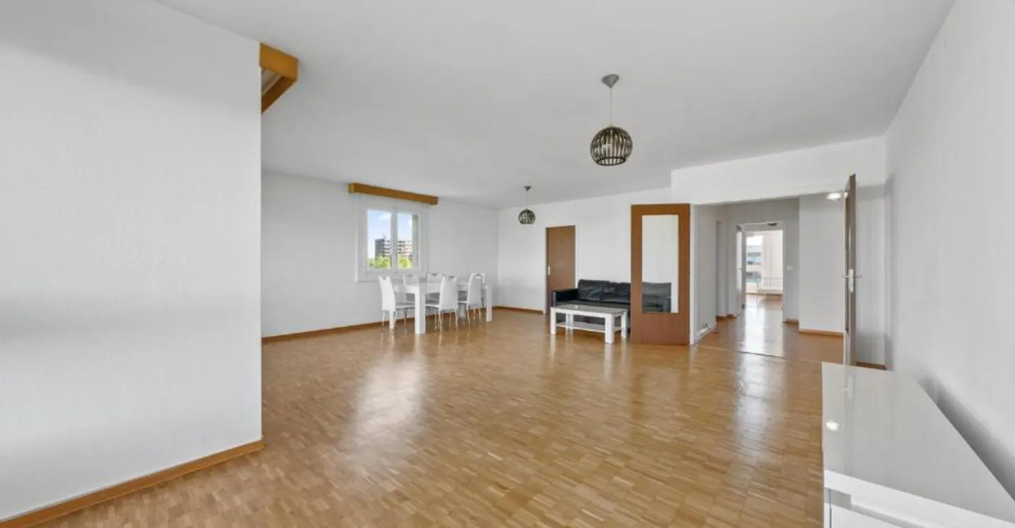 Spacious 6-room apartment with panoramic views of the Jura - Photo 3 of 12
