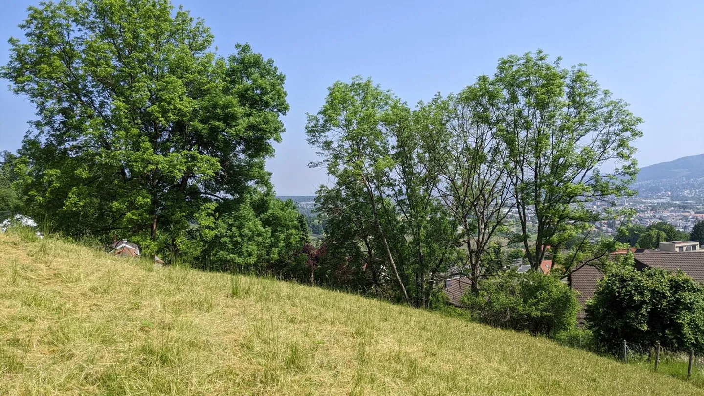 Terreno edificabile in affitto - Foto 2 di 5