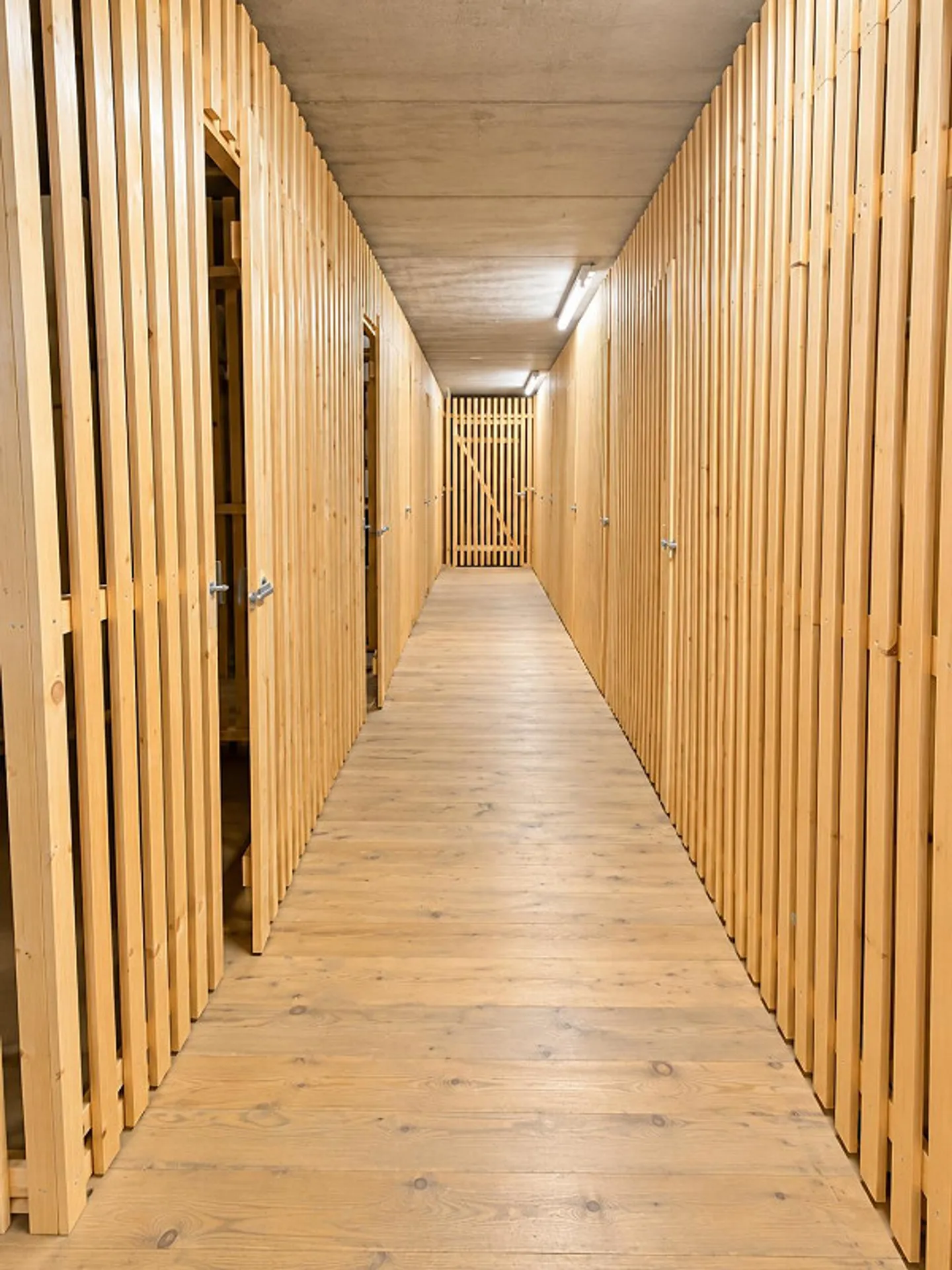 Compartiment de cave / Stockage disponible immédiatement à louer - Photo 1 sur 5