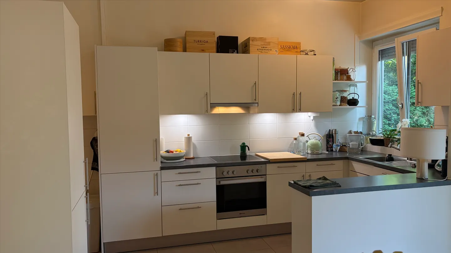 Magnifico appartamento di 4.5 locali con terrazza e giardino privato, quartiere Champel - Foto 5 di 11