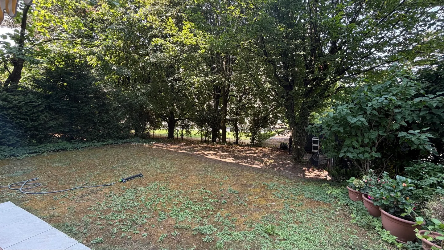 Magnifico appartamento di 4.5 locali con terrazza e giardino privato, quartiere Champel - Foto 11 di 11