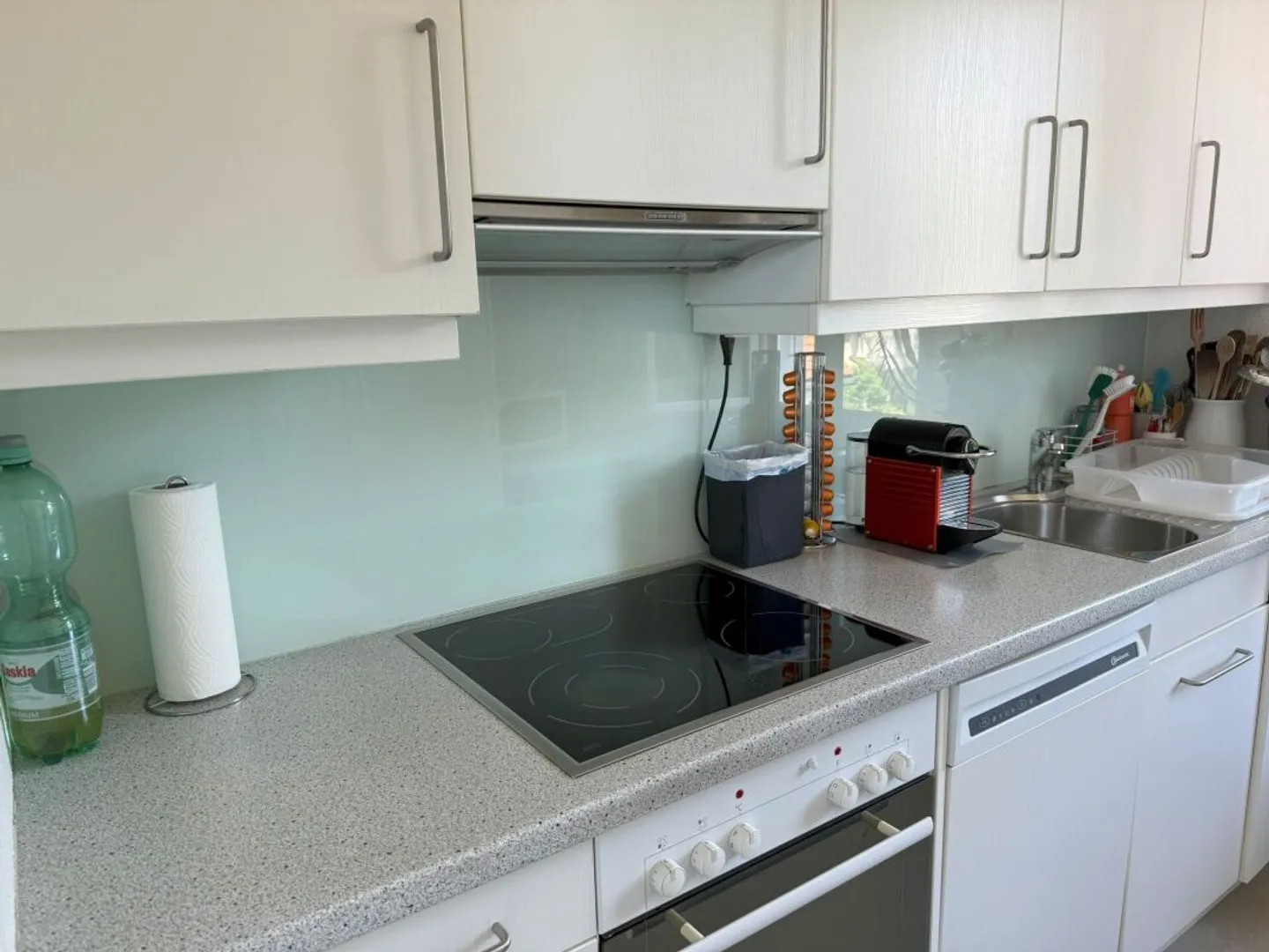 Renovated 3.5-Room Apartment - Photo 8 of 18