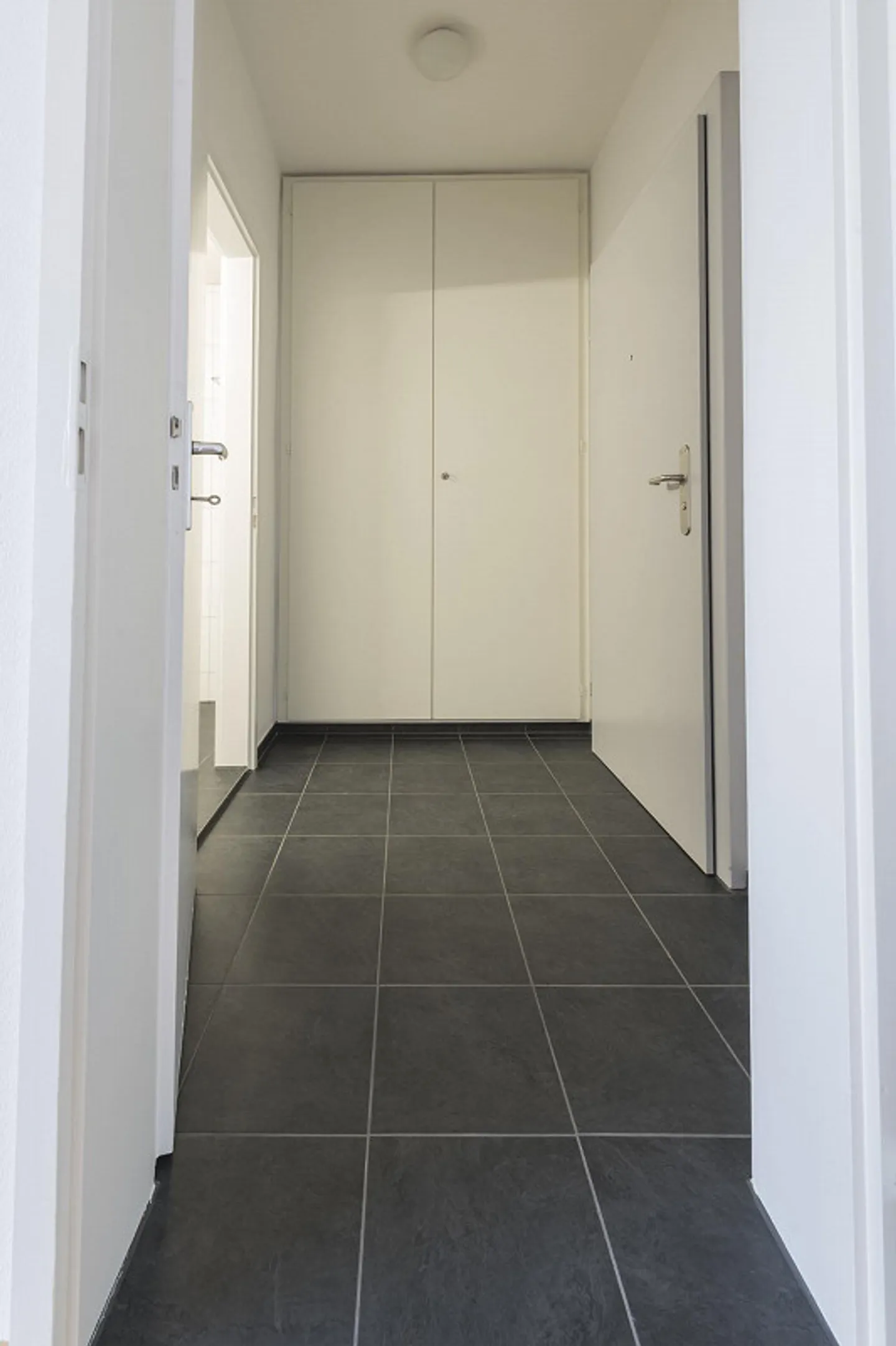 Appartamento luminoso 1 stanza -senza balcone - Foto 3 di 8