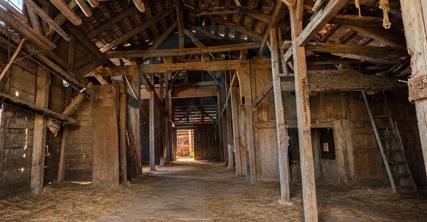VAULRUZ - Grande fattoria del 1852 da ristrutturare, con volumi eccezionali - Foto 12 di 13
