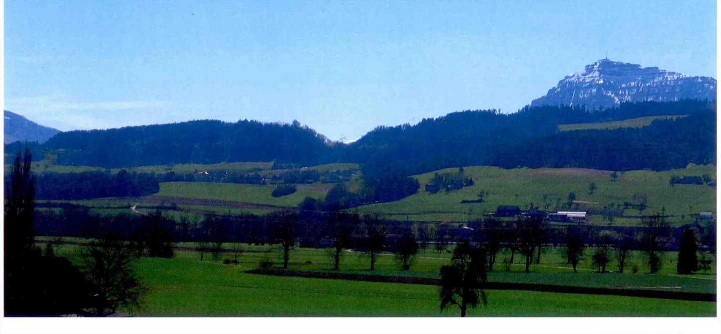 Modernes Apartment im Grünen - Foto 1 von 6