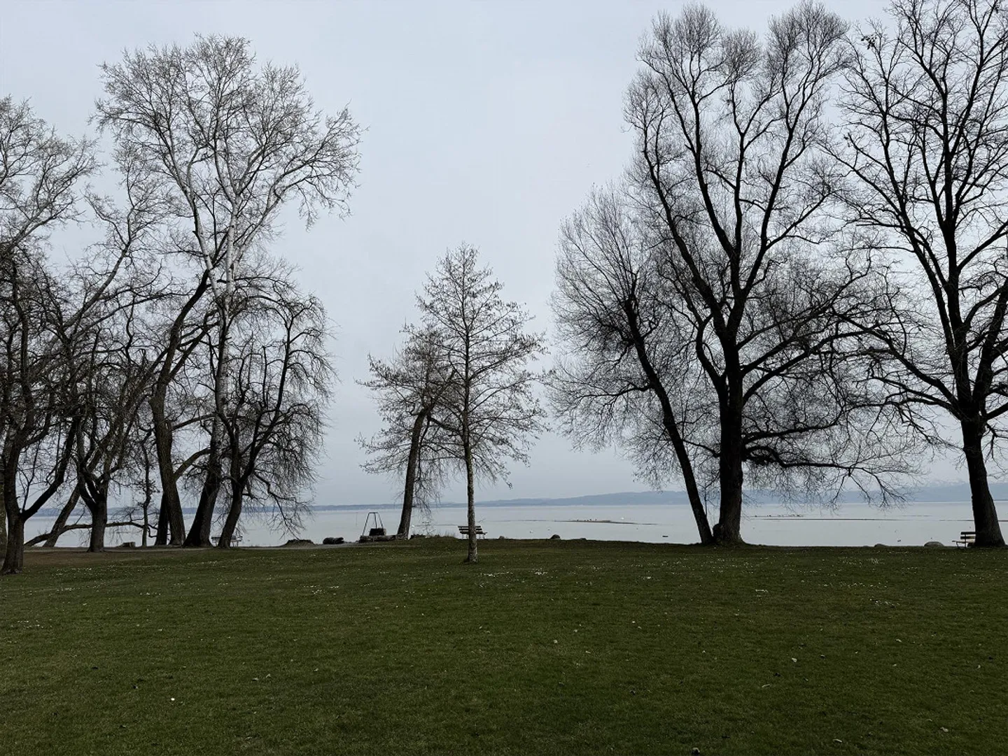 Appartement sous les combles 3 1/2 pièces - Nouvelle construction au bord du lac de Constance, connecté à la nature, moderne - Photo 3 sur 23