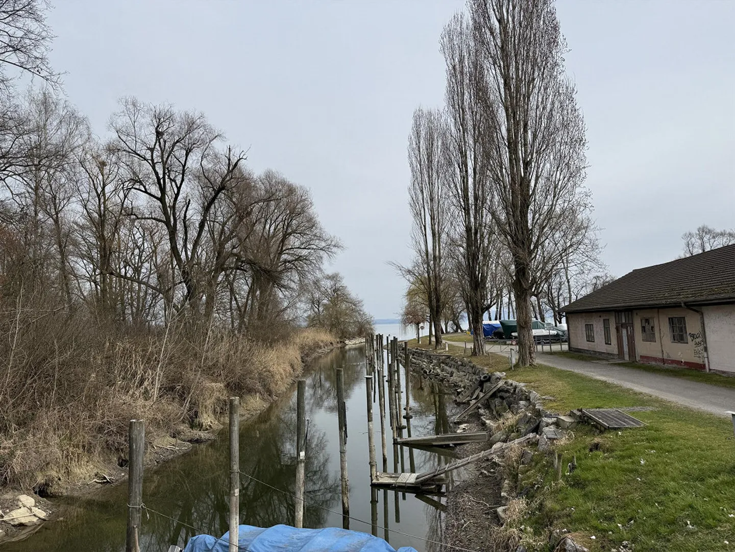 Appartement sous les combles 3 1/2 pièces - Nouvelle construction au bord du lac de Constance, connecté à la nature, moderne - Photo 4 sur 23