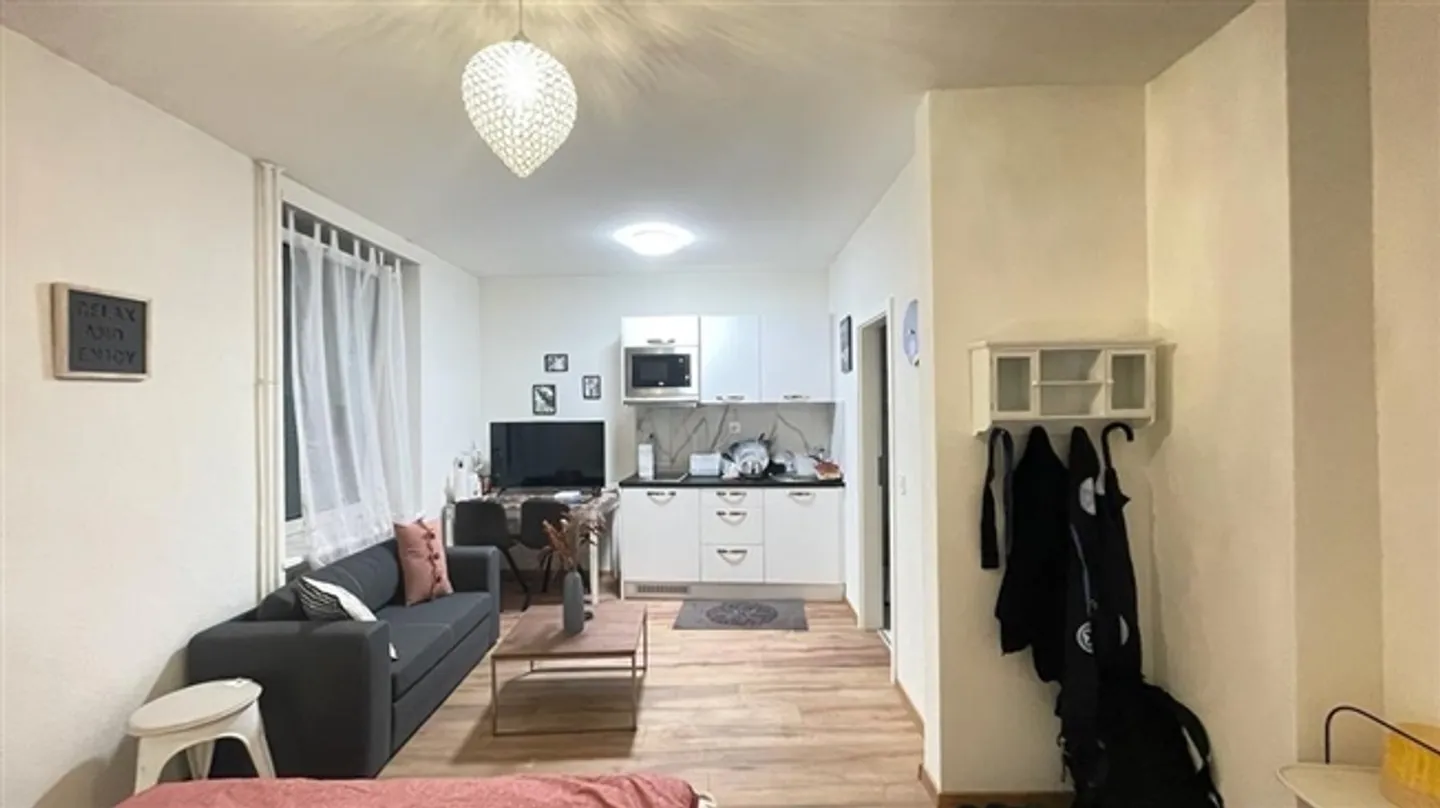 Appartement Studio Entièrement Meublé dans le Centre de Zürich Zone 10 - Photo 3 sur 11