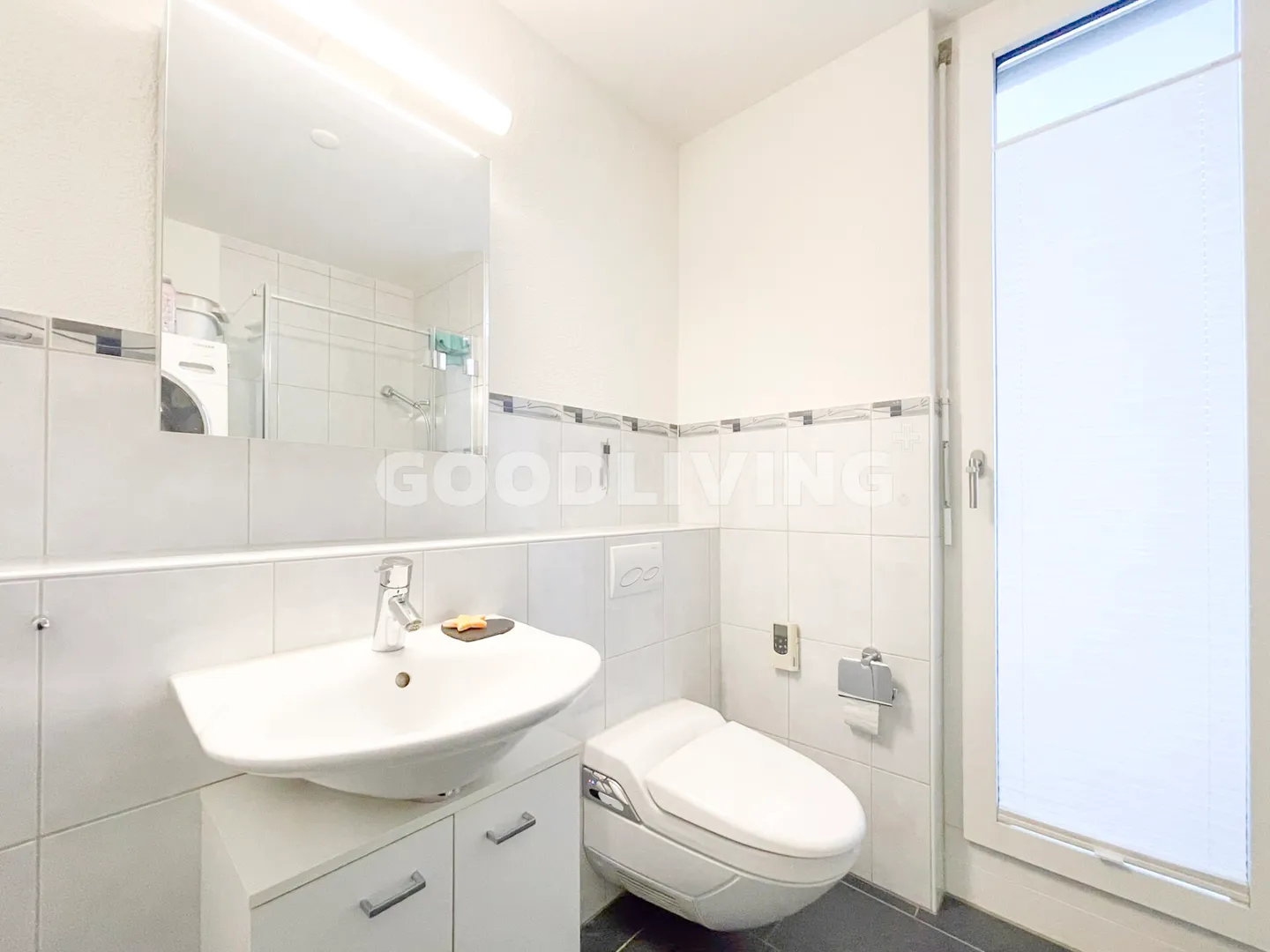 Vie en Attique avec Vue - près de Bâle - Photo 8 sur 13