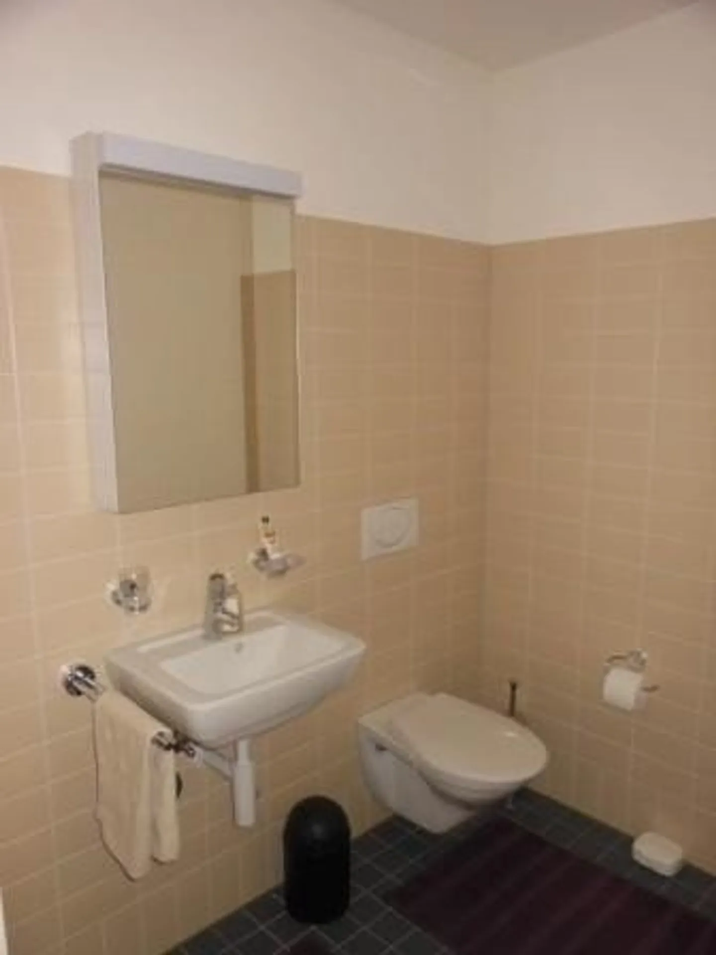 Appartement Charmant à Adliswil - Photo 6 sur 9