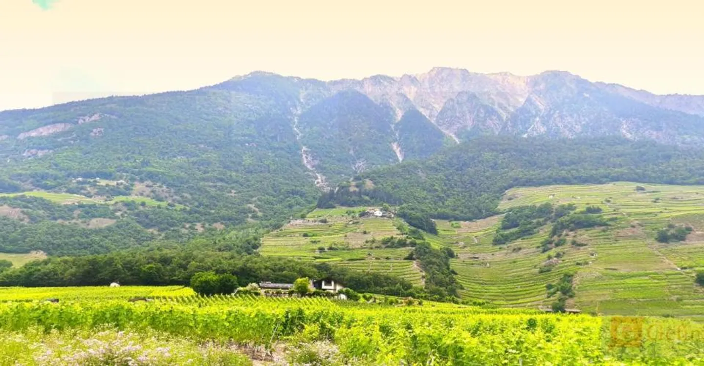 Fully - Buildable plot of 379 m² in hillside zone - Photo 1 of 4