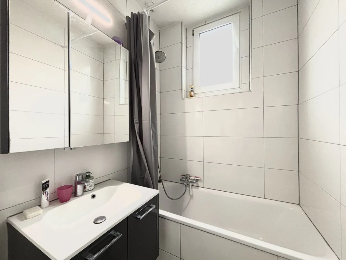 Furnished apartment for rent - Photo 5 of 8