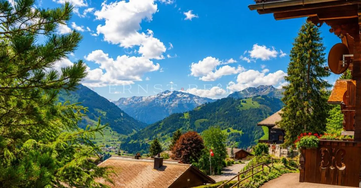 Exceptional chalet at the gates of Gstaad - Photo 8 of 8