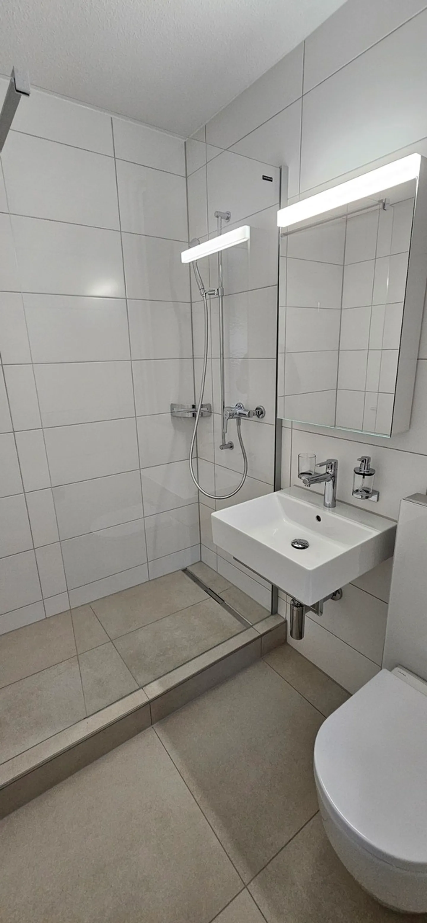 À louer : magnifique appartement 1 pièce rénové au rez-de-chaussée - Photo 4 sur 8