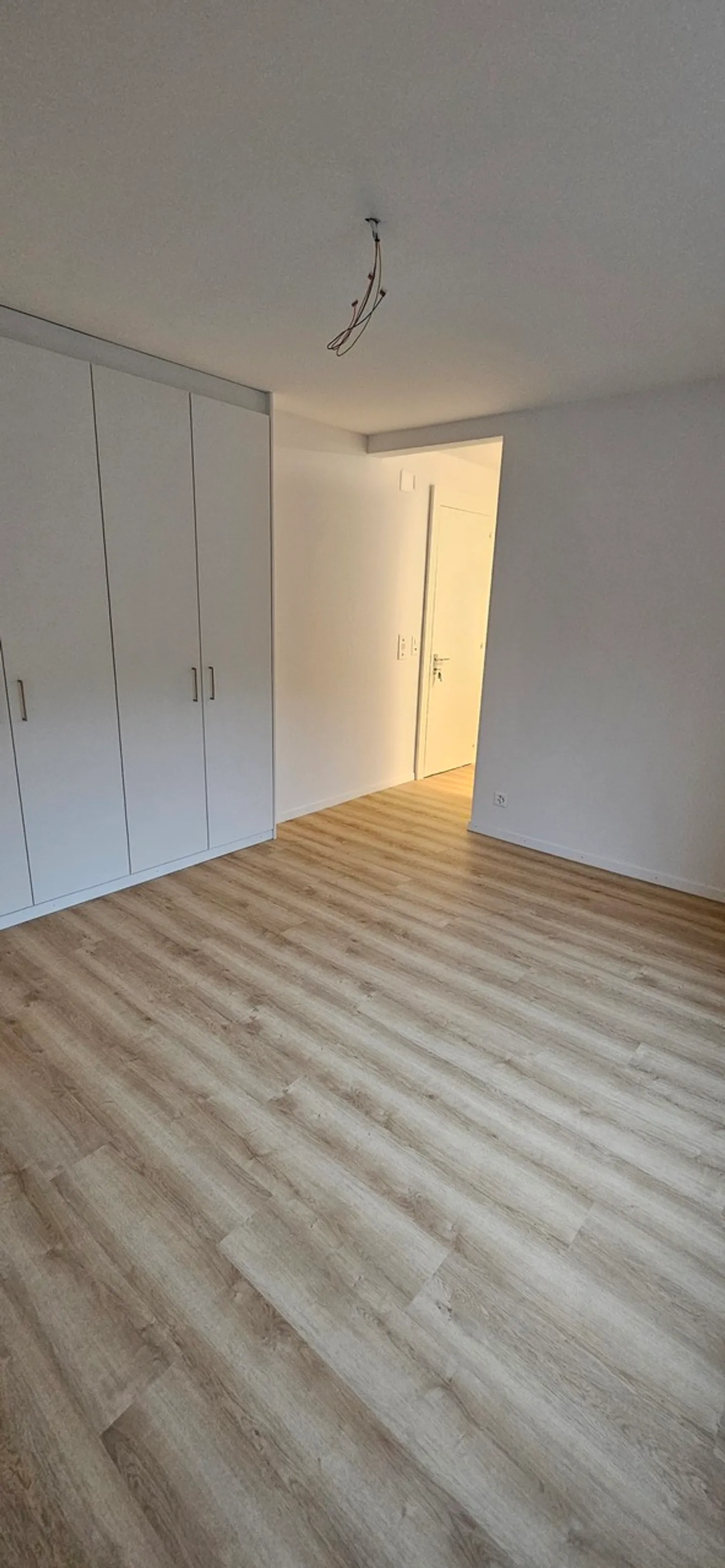 À louer : magnifique appartement 1 pièce rénové au rez-de-chaussée - Photo 7 sur 8