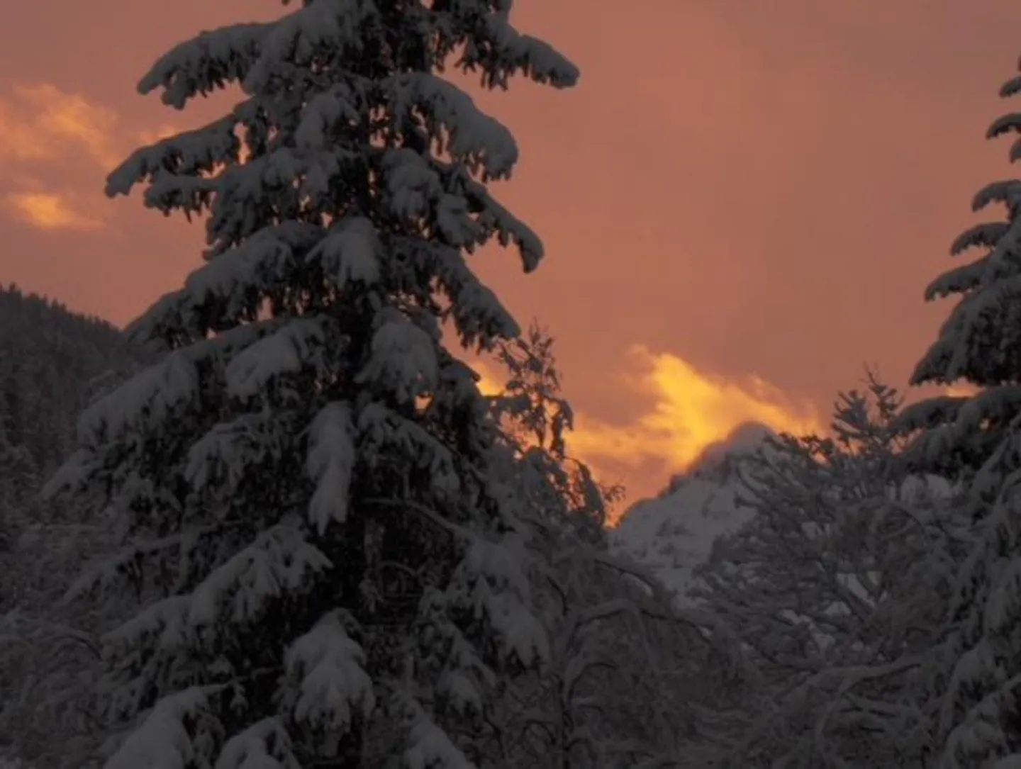 Chalet in Morgins - Portes du Soleil - Photo 3 of 8
