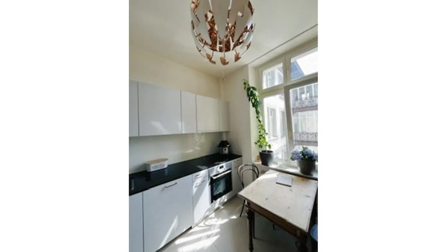 4½ ROOM APARTMENT IN ZURICH - DISTRICT 1, FURNISHED, TEMPORARY - Photo 10 of 10