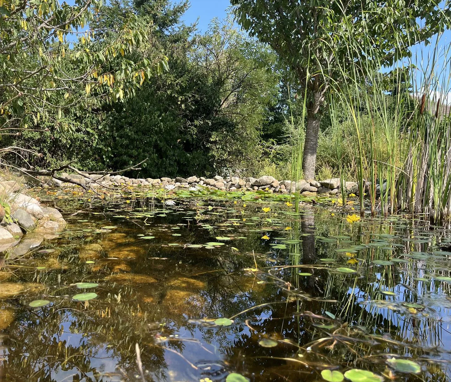 Proprietà nella natura ristrutturata con opzione area equestre - Foto 14 di 18