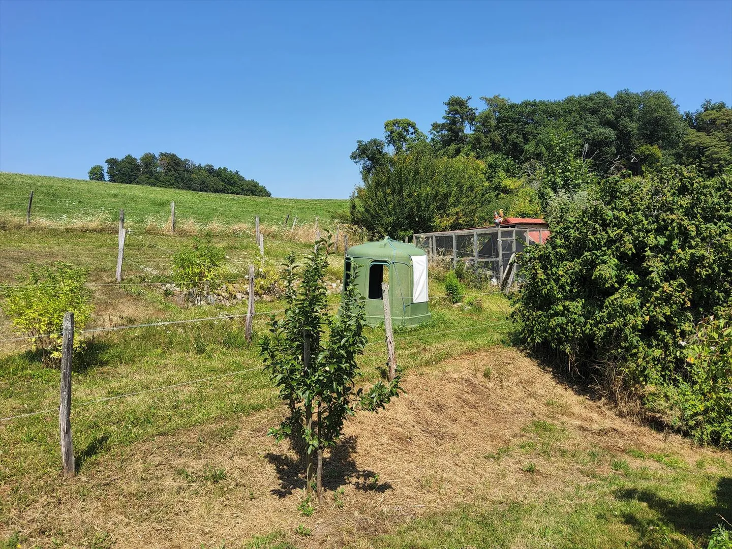 Proprietà nella natura ristrutturata con opzione area equestre - Foto 17 di 18