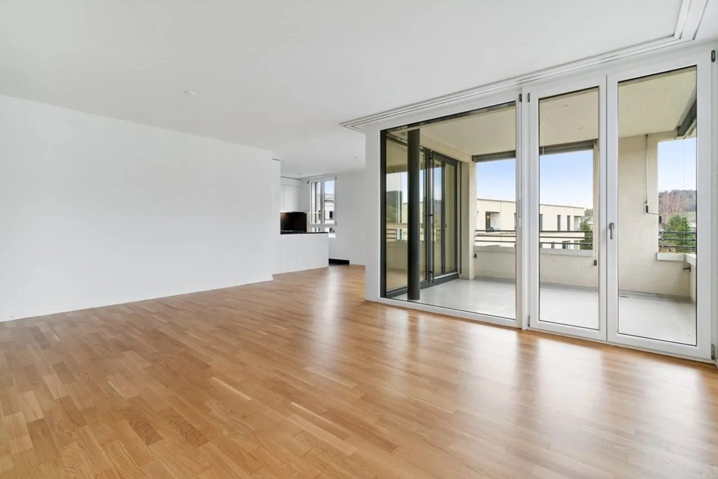 Charming Apartment in Adliswil - Photo 3 of 8