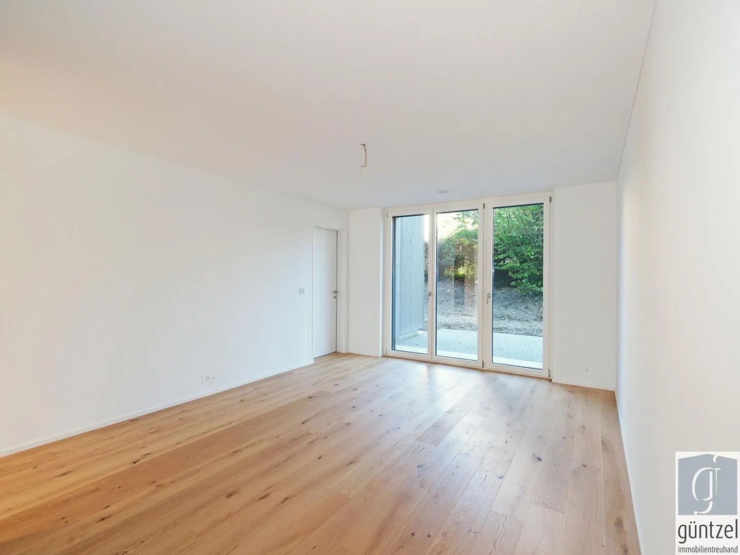 New Garden Apartment - Quiet yet Centrally Located - Photo 5 of 13