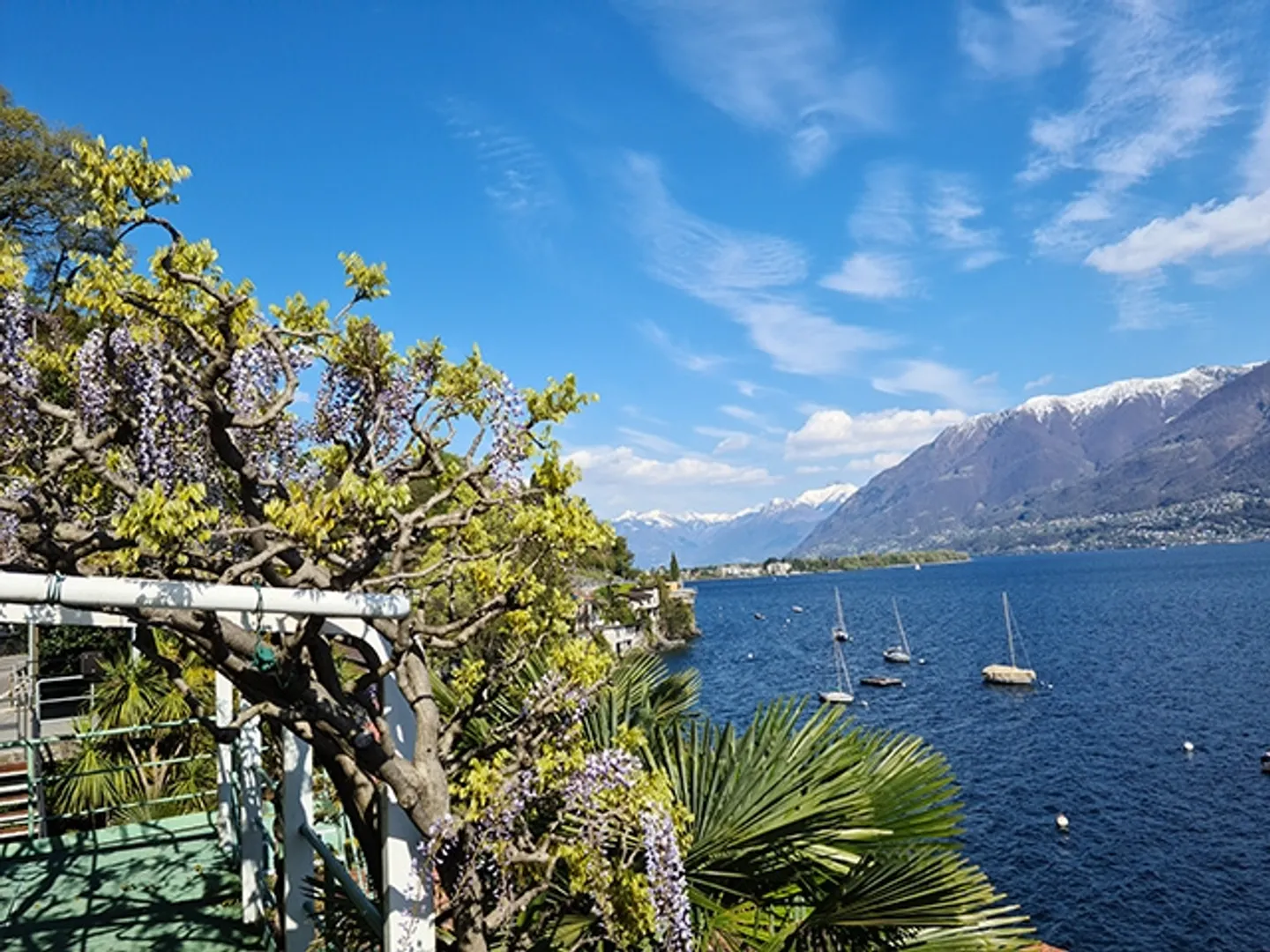 Locarno - Appartamento fantastico - 3,5 locali - Foto 2 di 5