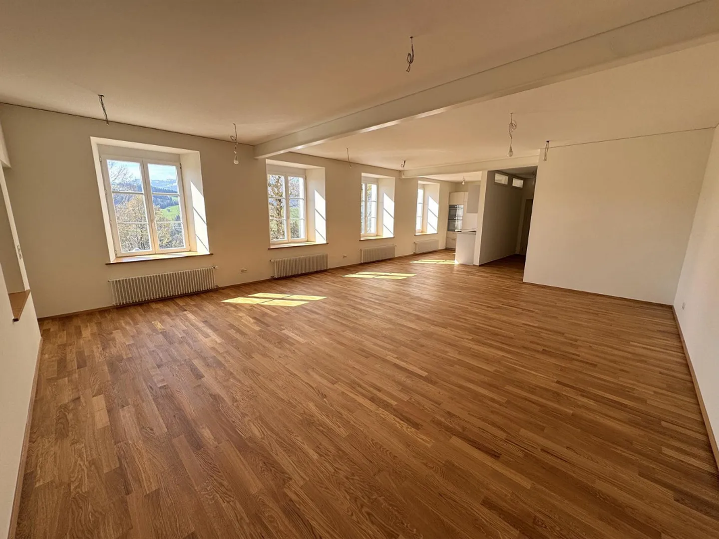 Magnifiquement rénové et spacieux appartement en loft de 1,5 pièce - Photo 2 sur 9