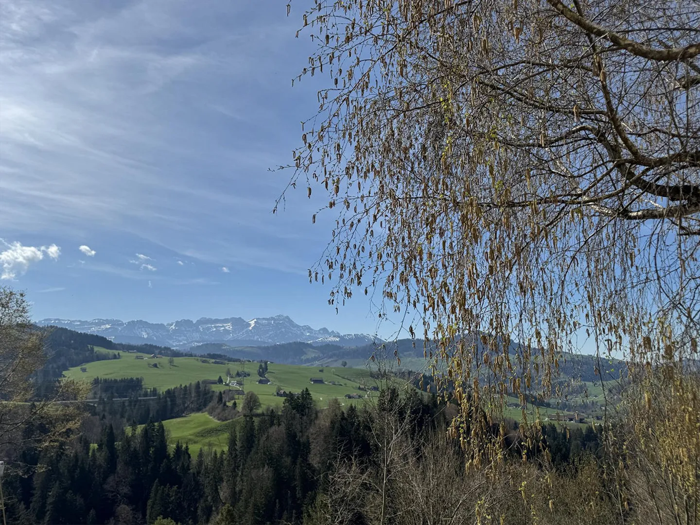 Magnifiquement rénové et spacieux appartement en loft de 1,5 pièce - Photo 9 sur 9