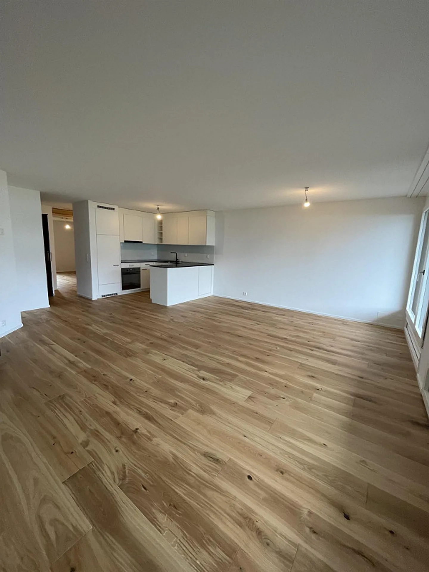 3.5 Room Garden Apartment at Lake Lucerne - Photo 2 of 11