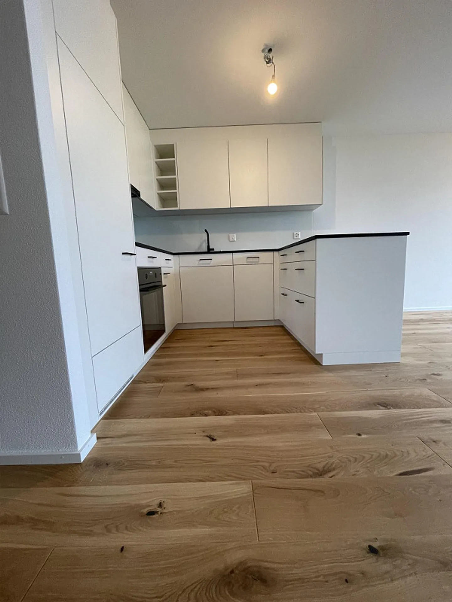 3.5 Room Garden Apartment at Lake Lucerne - Photo 4 of 11