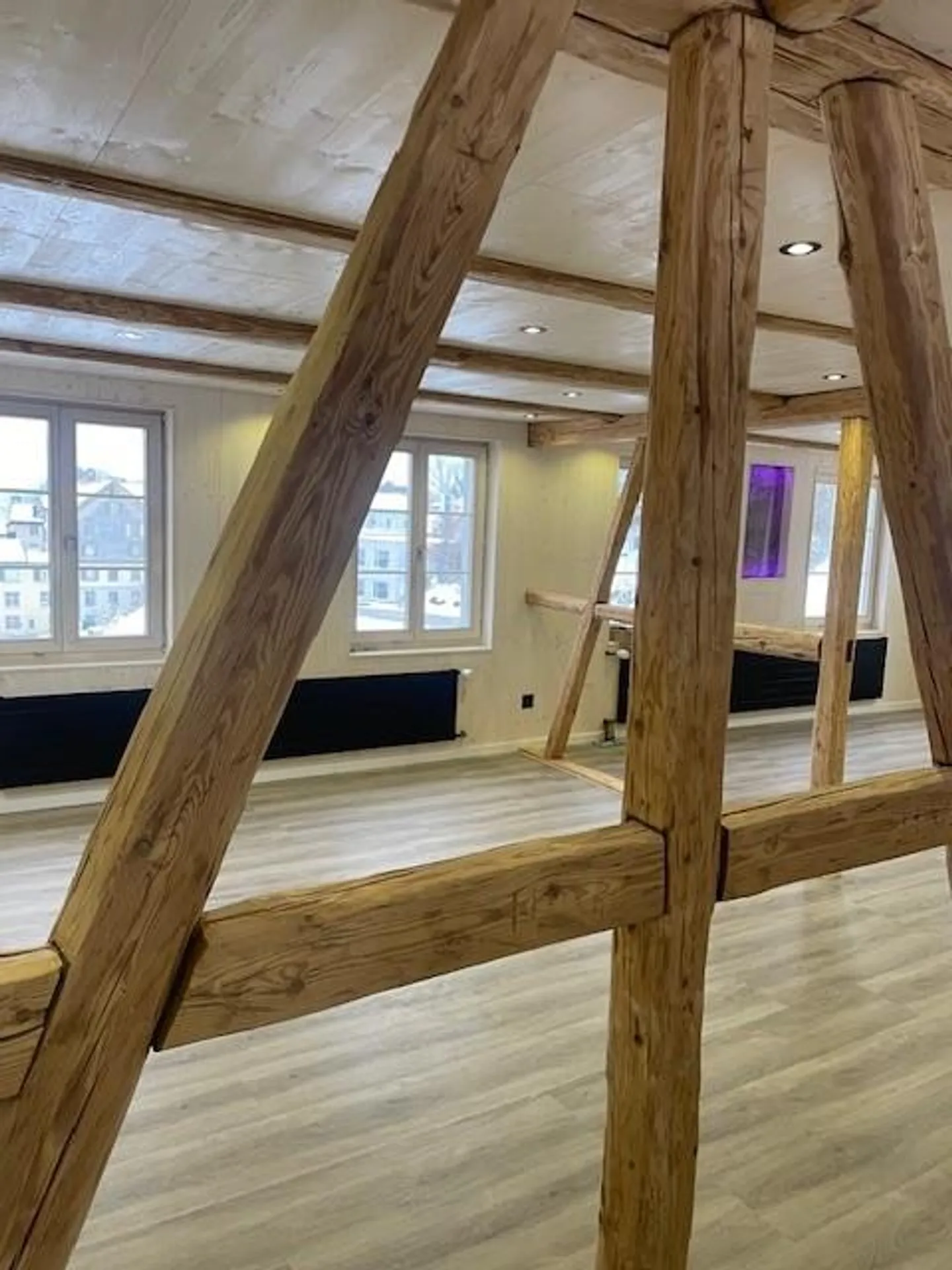 Appenzeller Charm - First occupancy after partial renovation - Photo 1 of 7