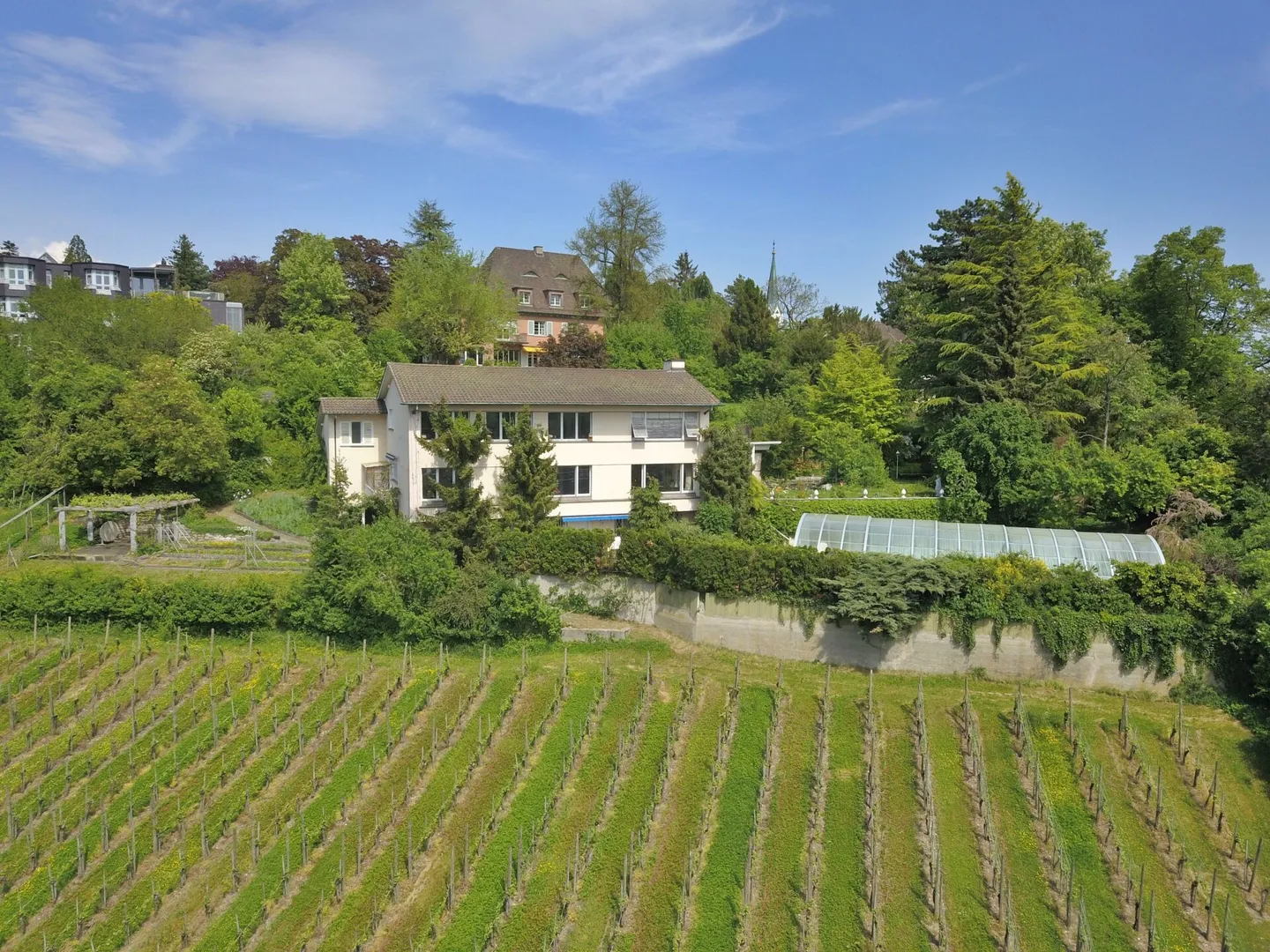 Privileged Property on the Vineyard Slope with Pool on Stokarberg - Photo 2 of 12