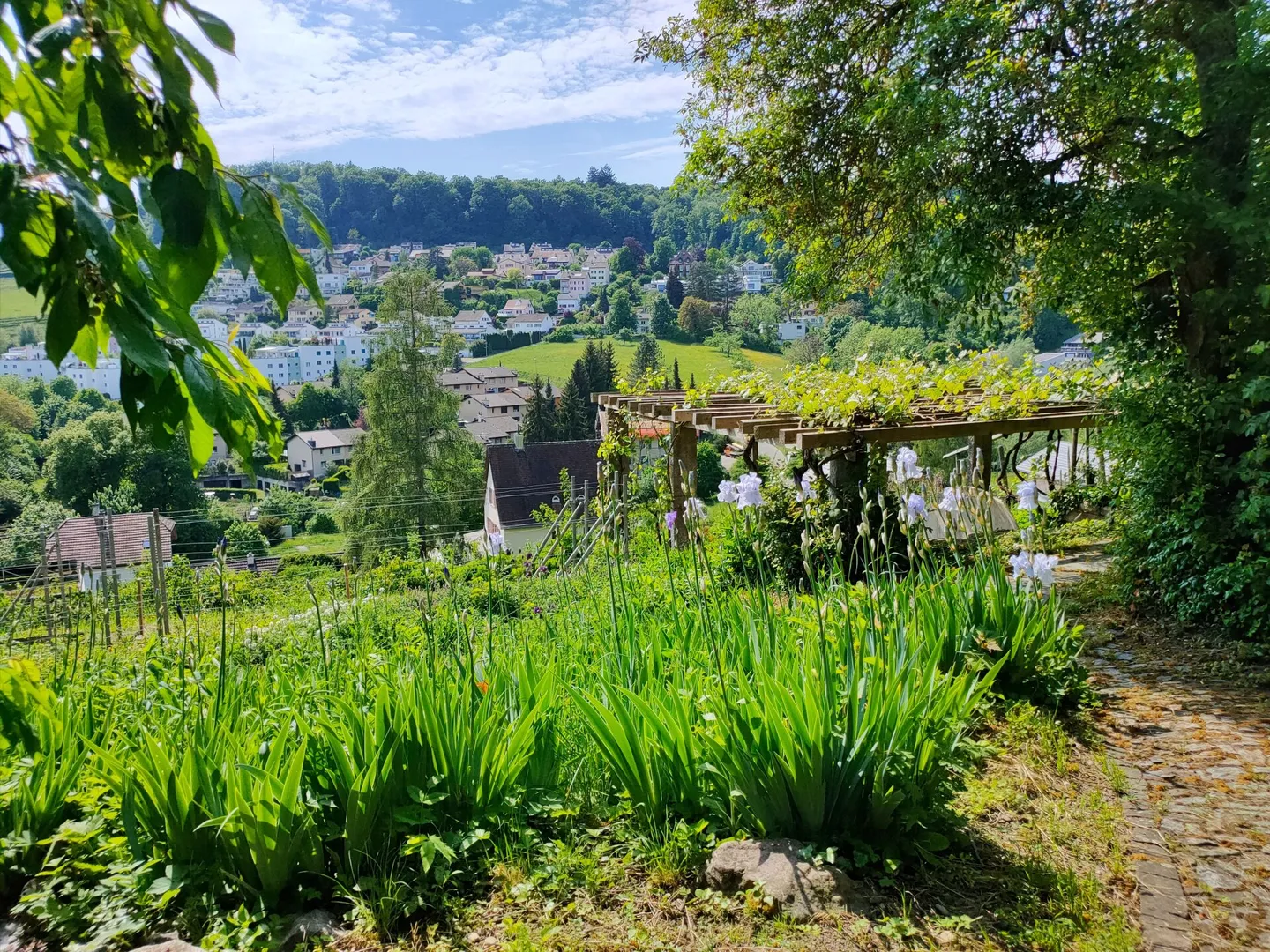Privileged Property on the Vineyard Slope with Pool on Stokarberg - Photo 3 of 12