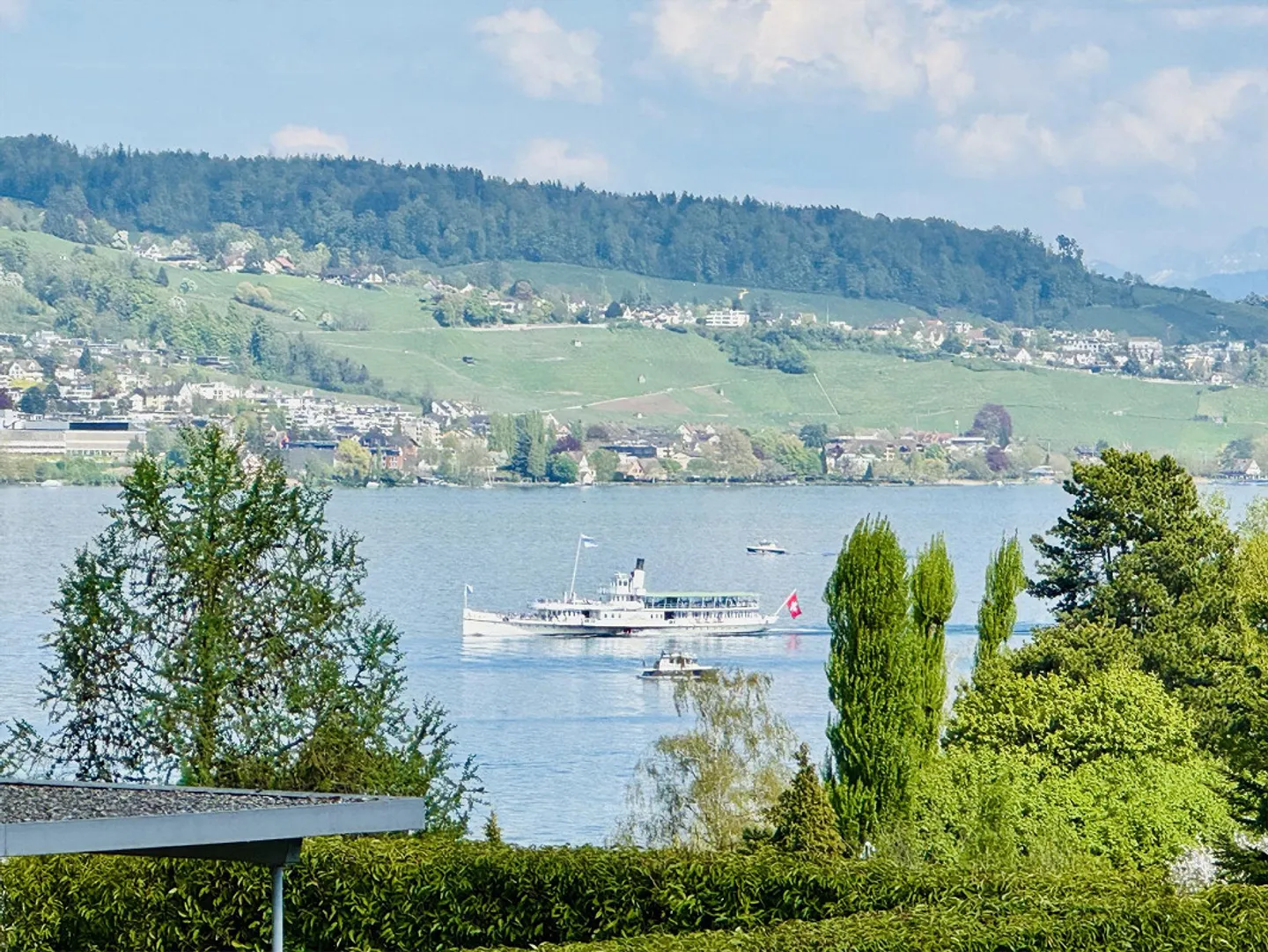 Modern Apartment with Lake Views - Photo 9 of 30