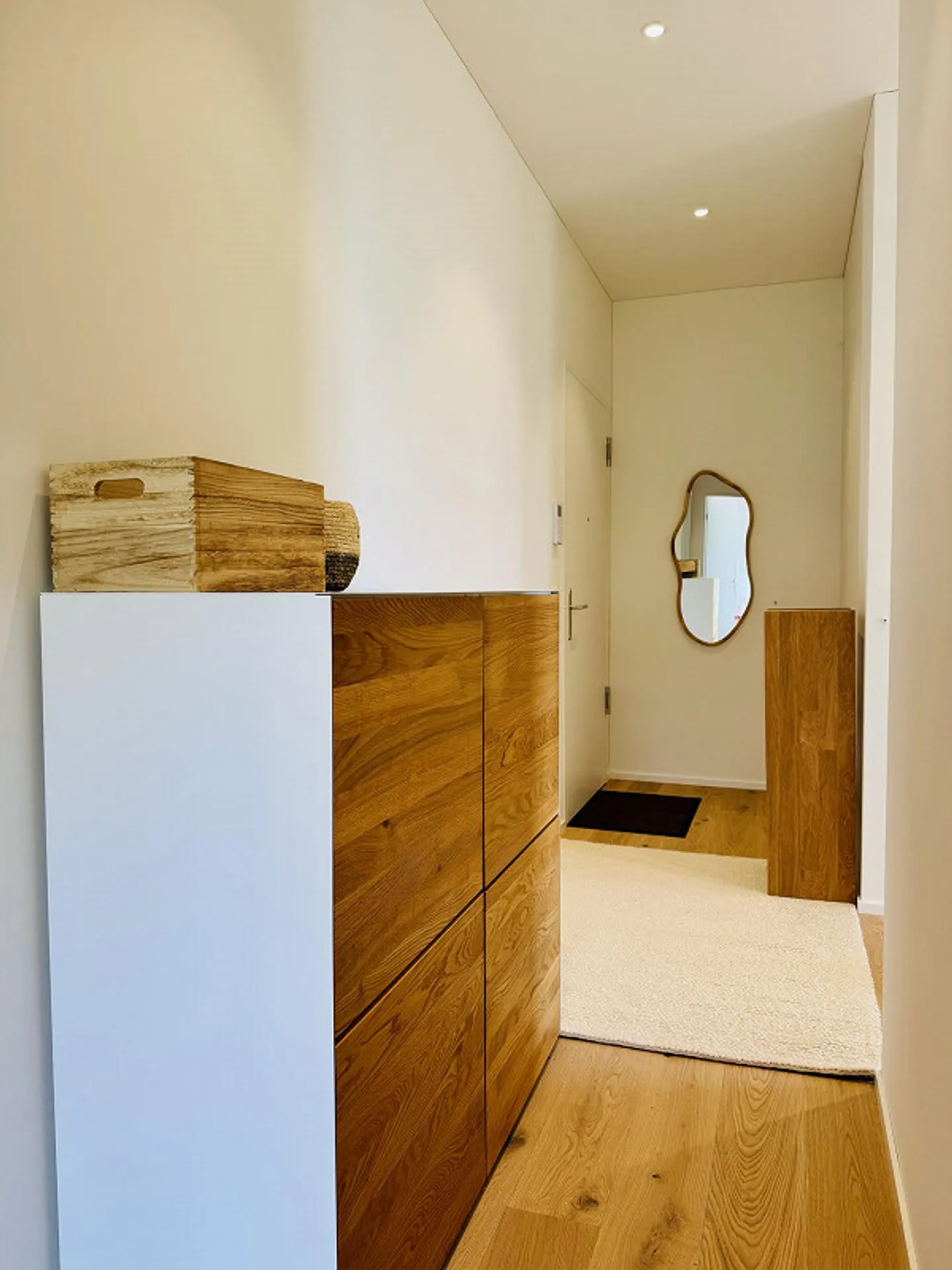 Modern Apartment with Lake Views - Photo 28 of 30
