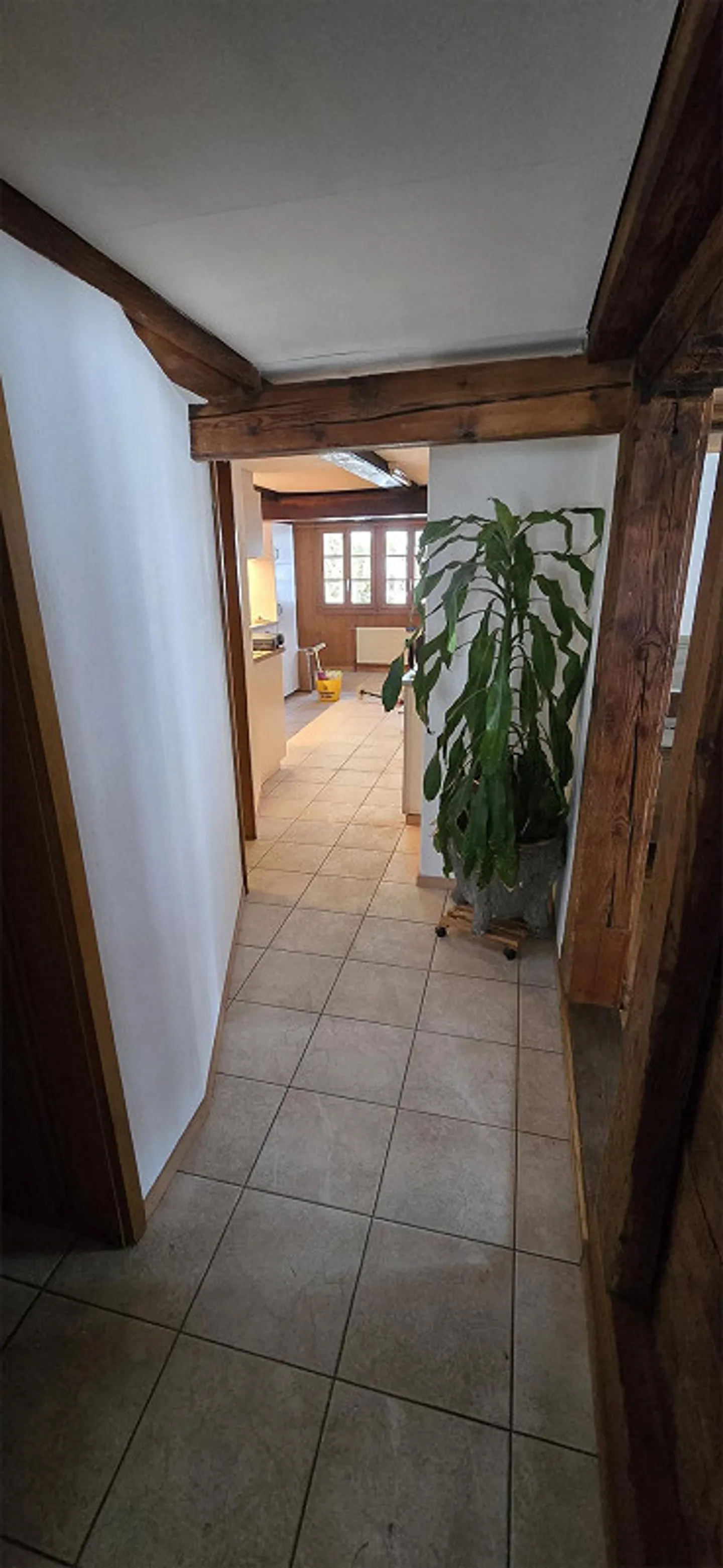 Geräumige Wohnung im historischen Bauernhaus - Foto 8 von 11