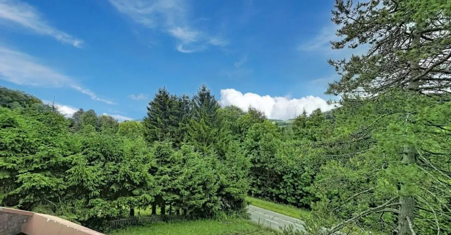 Charmantes Chalet im Herzen einer grünen Umgebung - Foto 6 von 13