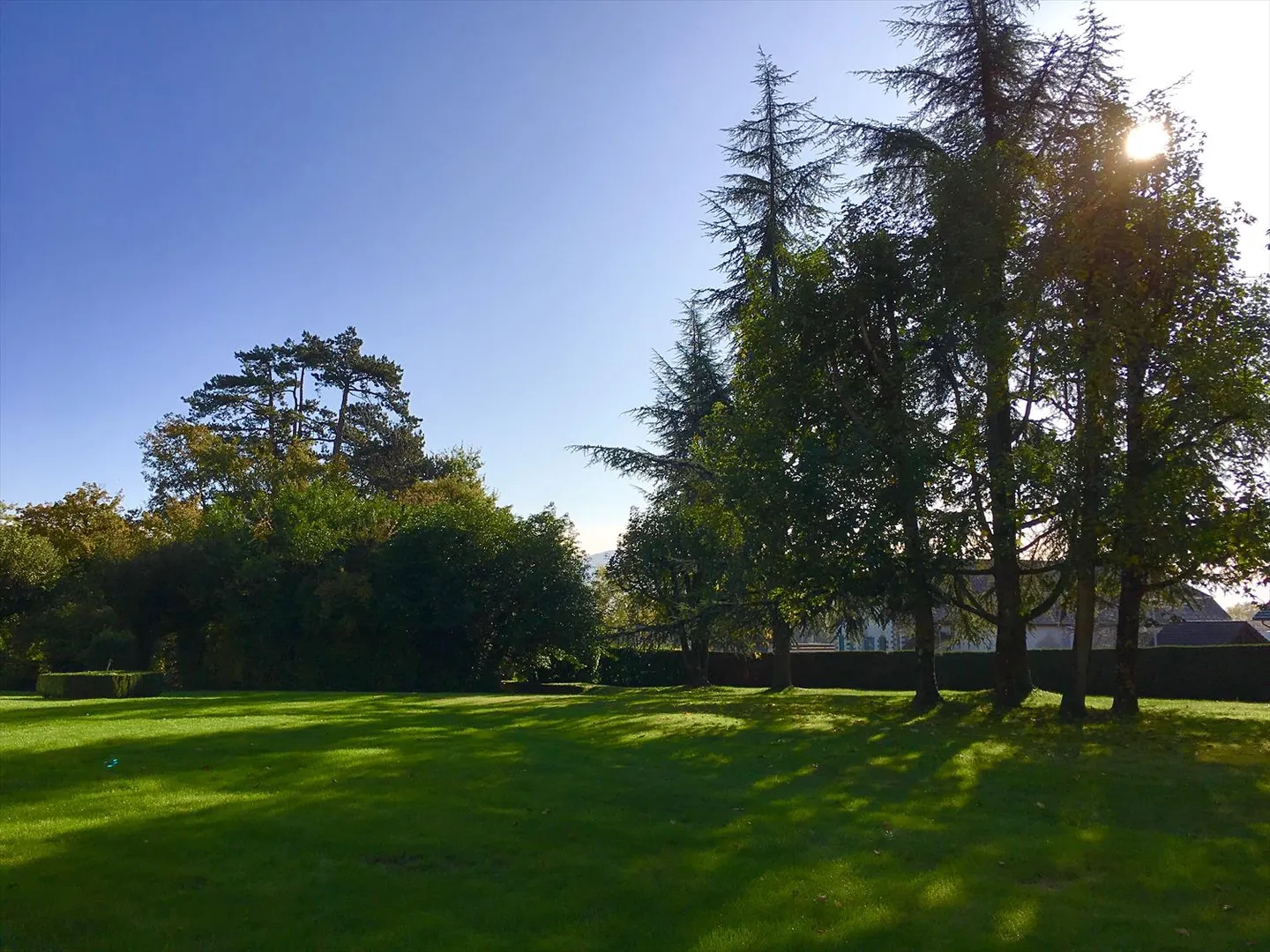 Appartamento arredato 2.5 stanze - Foto 4 di 4