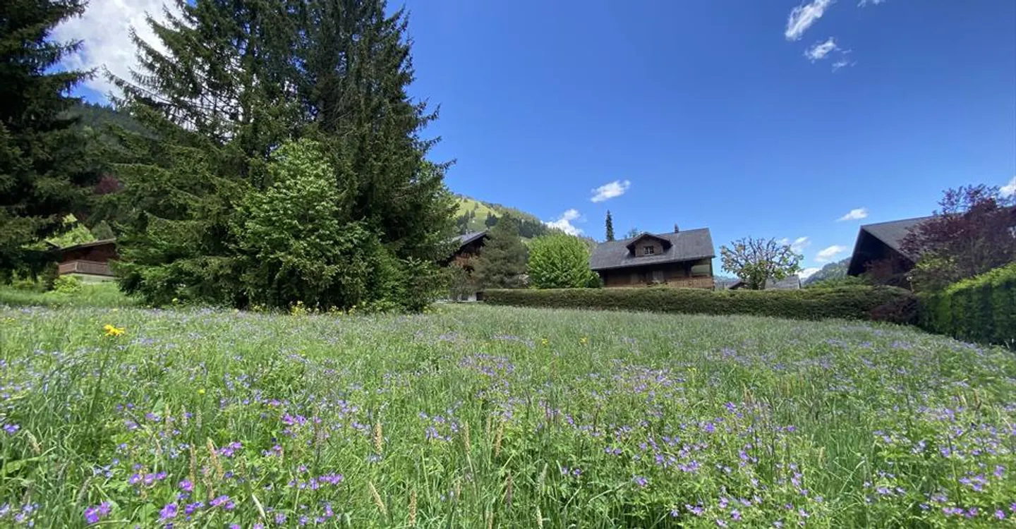 Baugrundstück in Rougemont - Foto 2 von 6