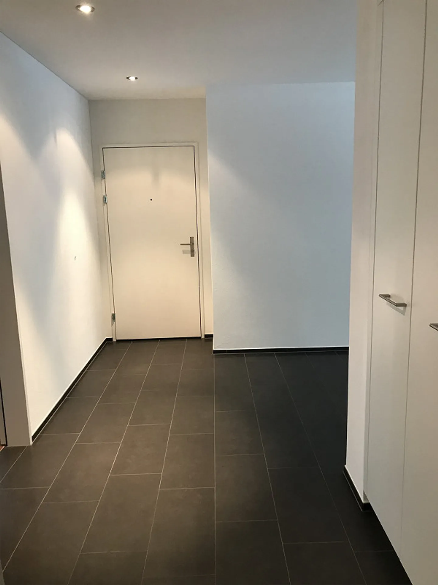 Appartamento 3 1/2 locali al piano terra - Foto 3 di 9