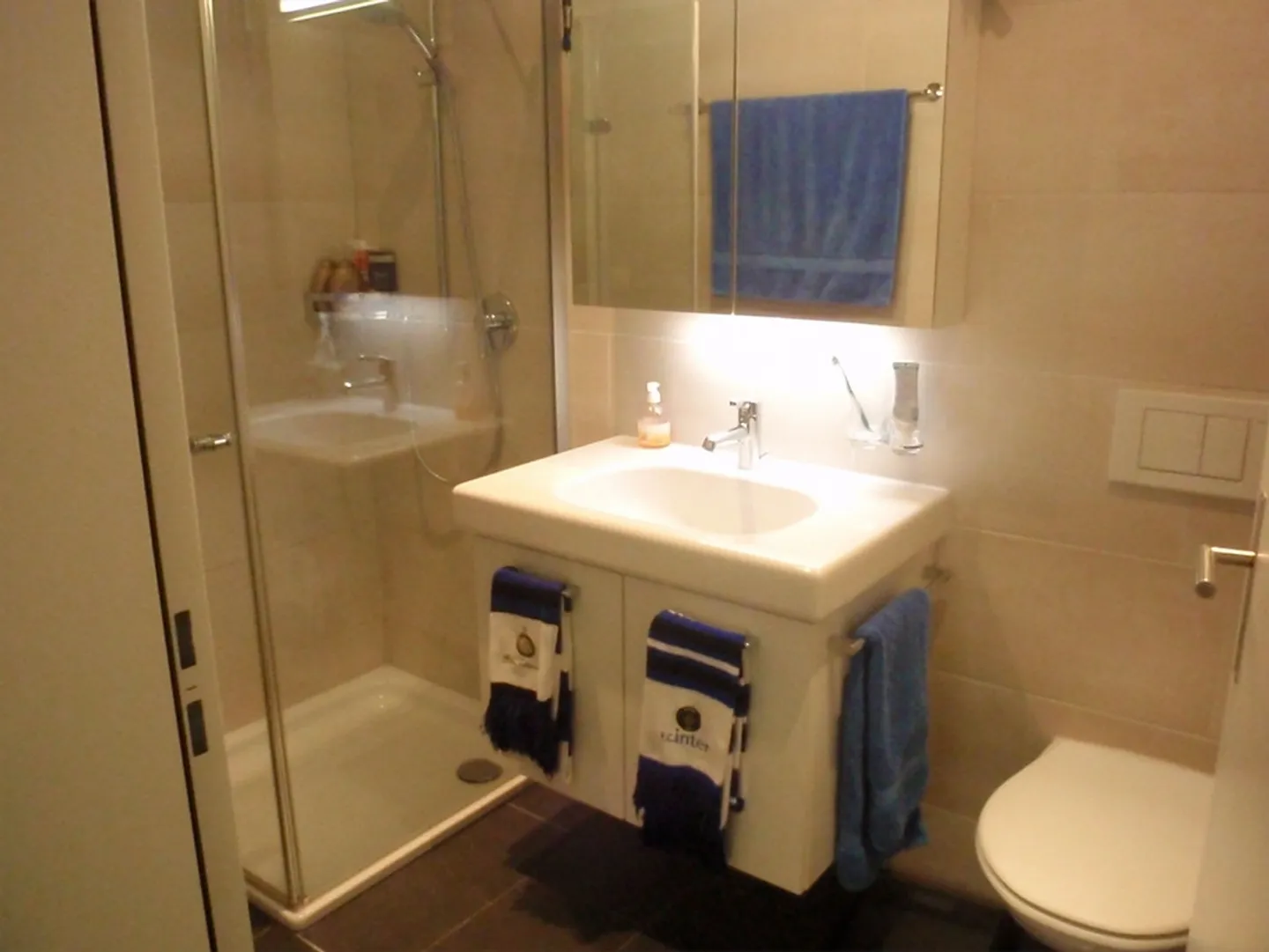 Appartamento 3 1/2 locali al piano terra - Foto 4 di 9