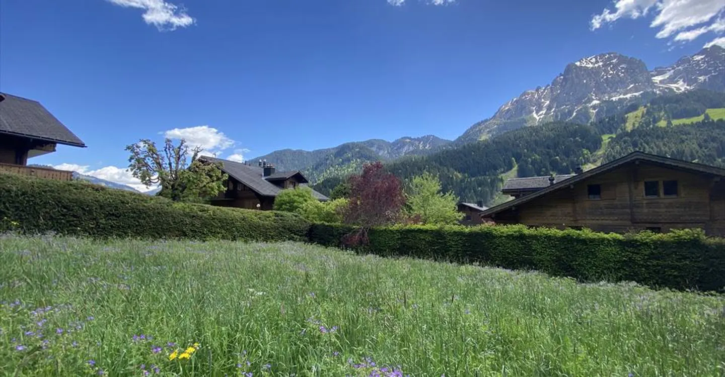 Baugrundstück in Rougemont - Foto 1 von 6