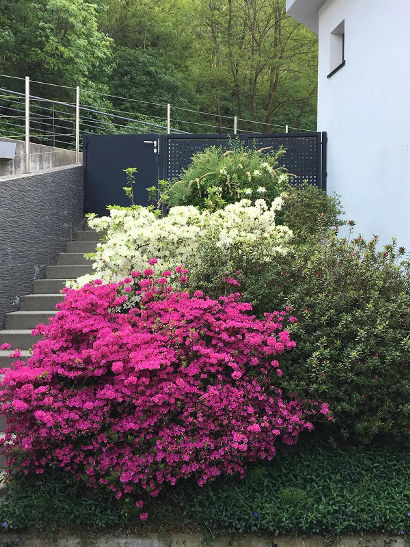 Casa Incantevole in Zona Tranquilla - Foto 5 di 15