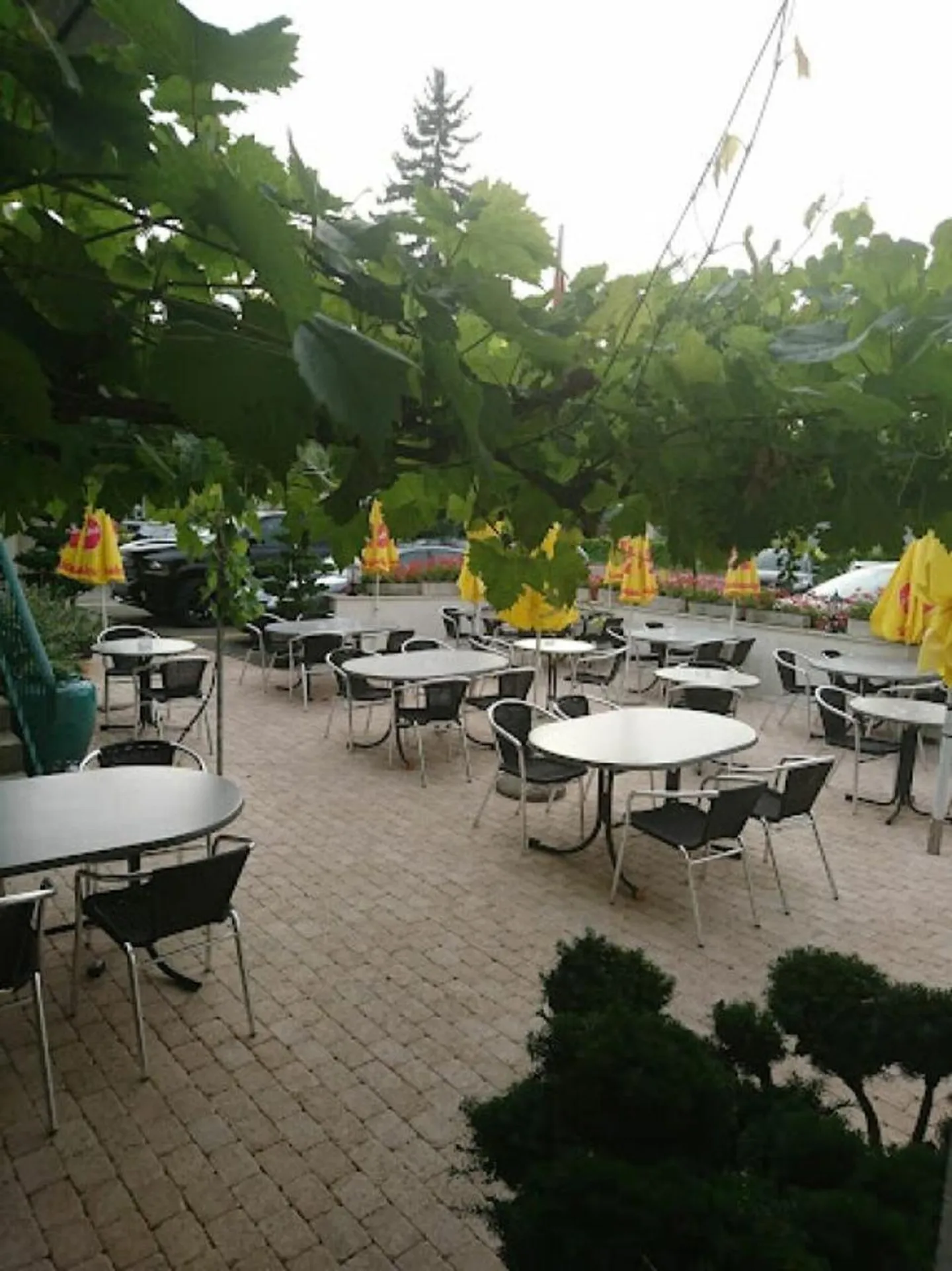 HOTEL/RESTAURANTE AFFITTABILE NELLA REGIONE DEL MURTENSEE - Foto 10 di 13