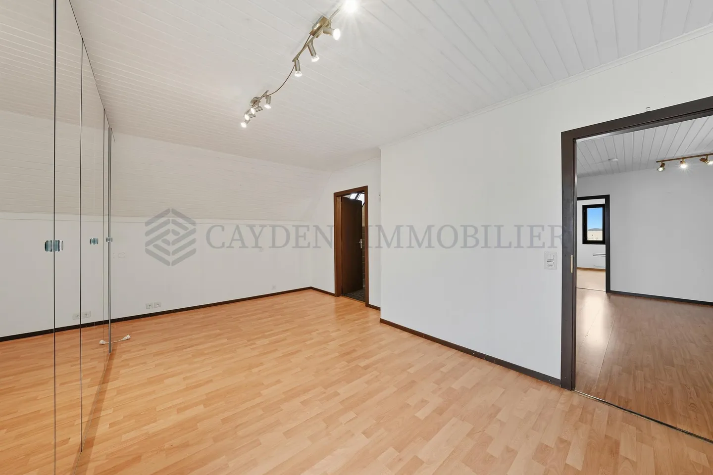 Magnifica villa vaudese con grande terreno - Foto 7 di 8