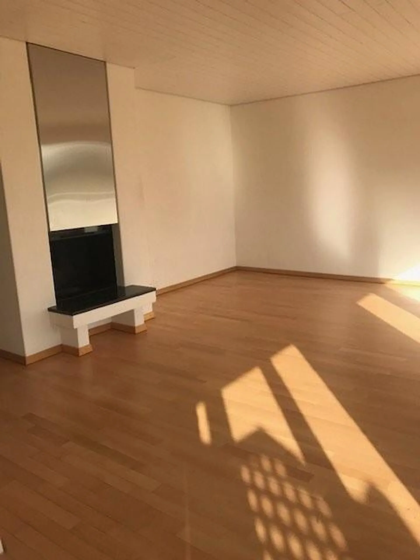 APPARTEMENT PENTHOUSE MODERNE 3.5 CHAMBRES AVEC UNE SUPERBE VUE - Photo 5 sur 12